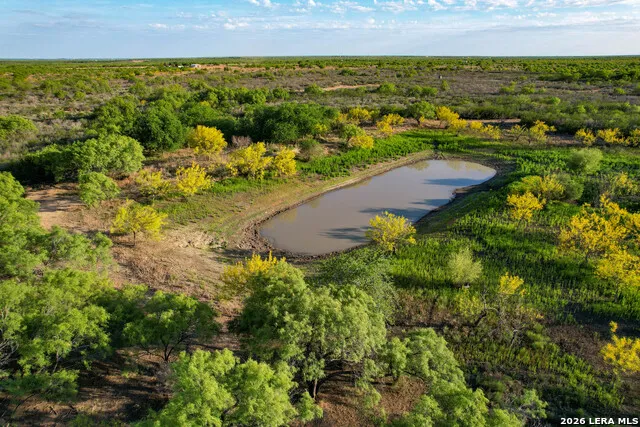 3472 Wilson Rd Carrizo Springs, TX 78834