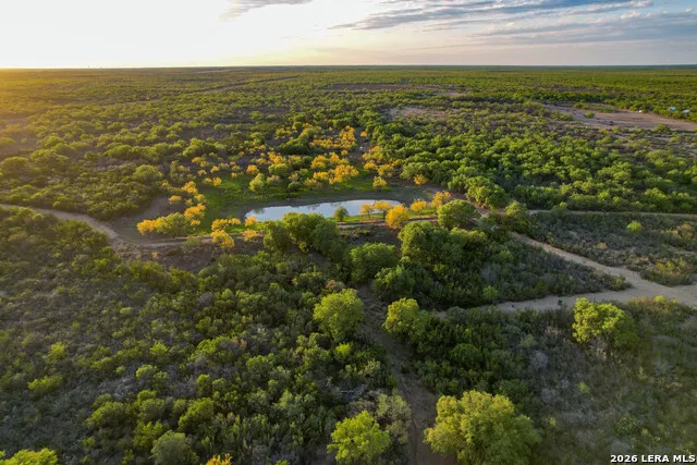 3472 Wilson Rd Carrizo Springs, TX 78834