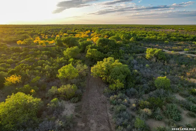 3472 Wilson Rd Carrizo Springs, TX 78834