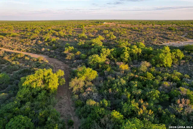 3472 Wilson Rd Carrizo Springs, TX 78834