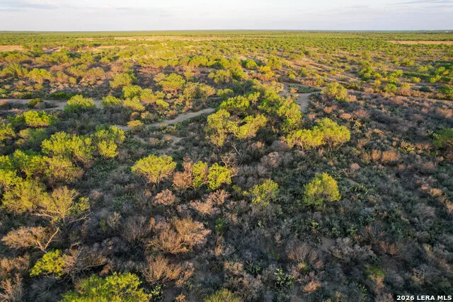 3472 Wilson Rd Carrizo Springs, TX 78834
