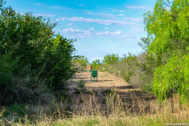 3472 Wilson Rd Carrizo Springs, TX 78834