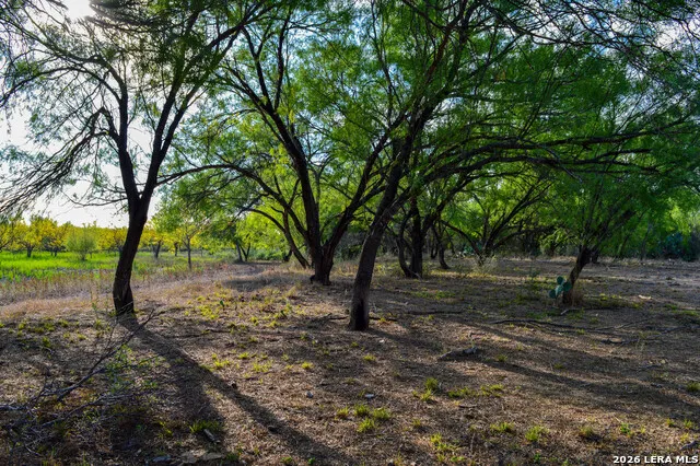 3472 Wilson Rd Carrizo Springs, TX 78834