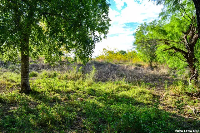 3472 Wilson Rd Carrizo Springs, TX 78834