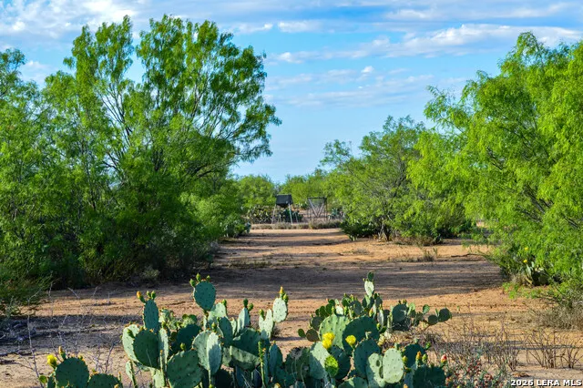 3472 Wilson Rd Carrizo Springs, TX 78834