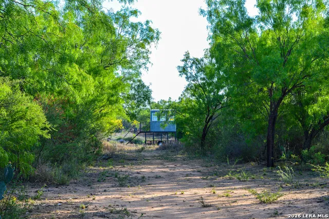 3472 Wilson Rd Carrizo Springs, TX 78834