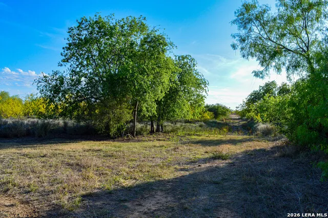 3472 Wilson Rd Carrizo Springs, TX 78834