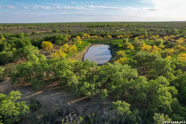 3472 Wilson Rd Carrizo Springs, TX 78834