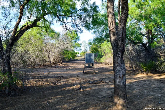 3472 Wilson Rd Carrizo Springs, TX 78834