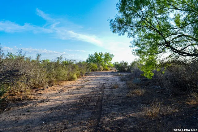 3472 Wilson Rd Carrizo Springs, TX 78834