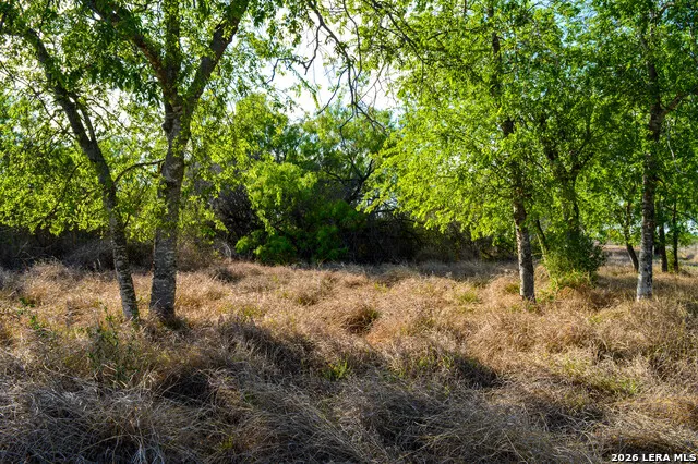 3472 Wilson Rd Carrizo Springs, TX 78834
