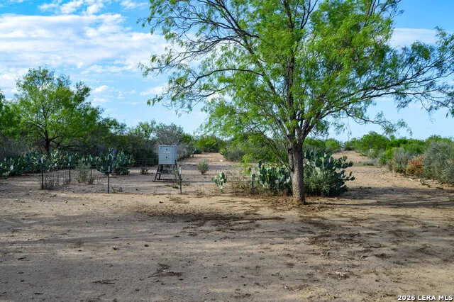 3472 Wilson Rd Carrizo Springs, TX 78834