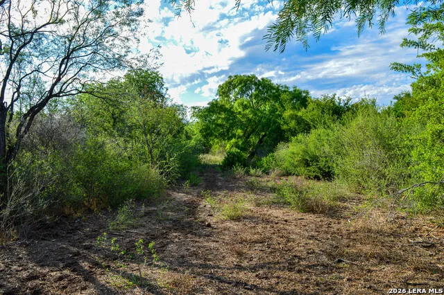 3472 Wilson Rd Carrizo Springs, TX 78834