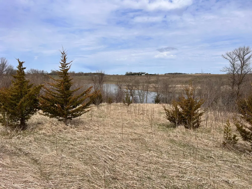 Lot 6 215th Street Barrett, MN 56311
