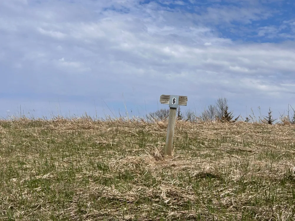 Lot 6 215th Street Barrett, MN 56311