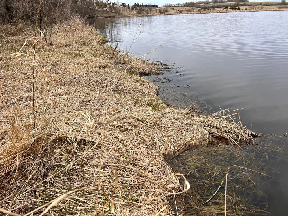 Lot 6 215th Street Barrett, MN 56311