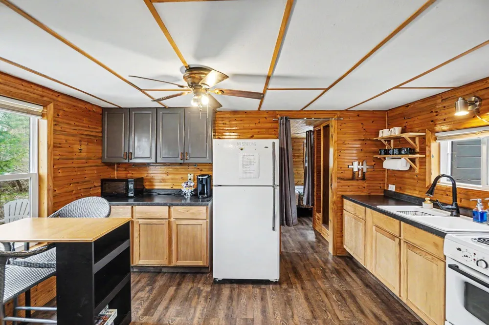 1153 W Channel Street Bitely, MI 49309