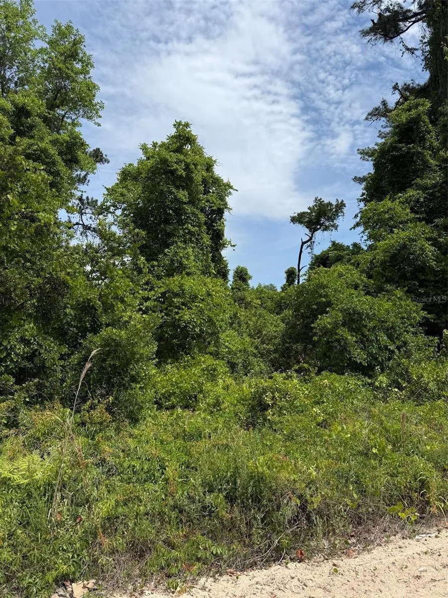 000 FOLKLORE DR Satsuma, FL 32189