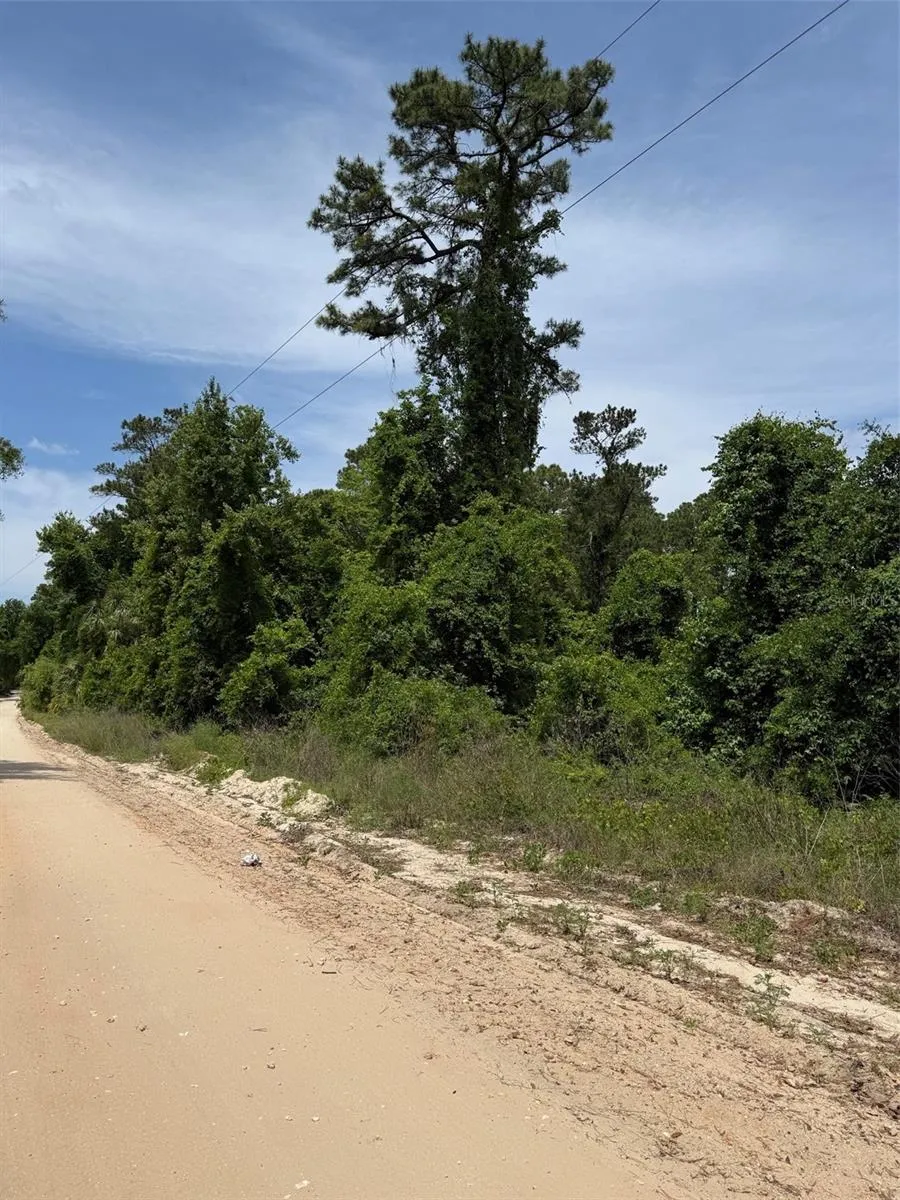 000 FOLKLORE DR Satsuma, FL 32189