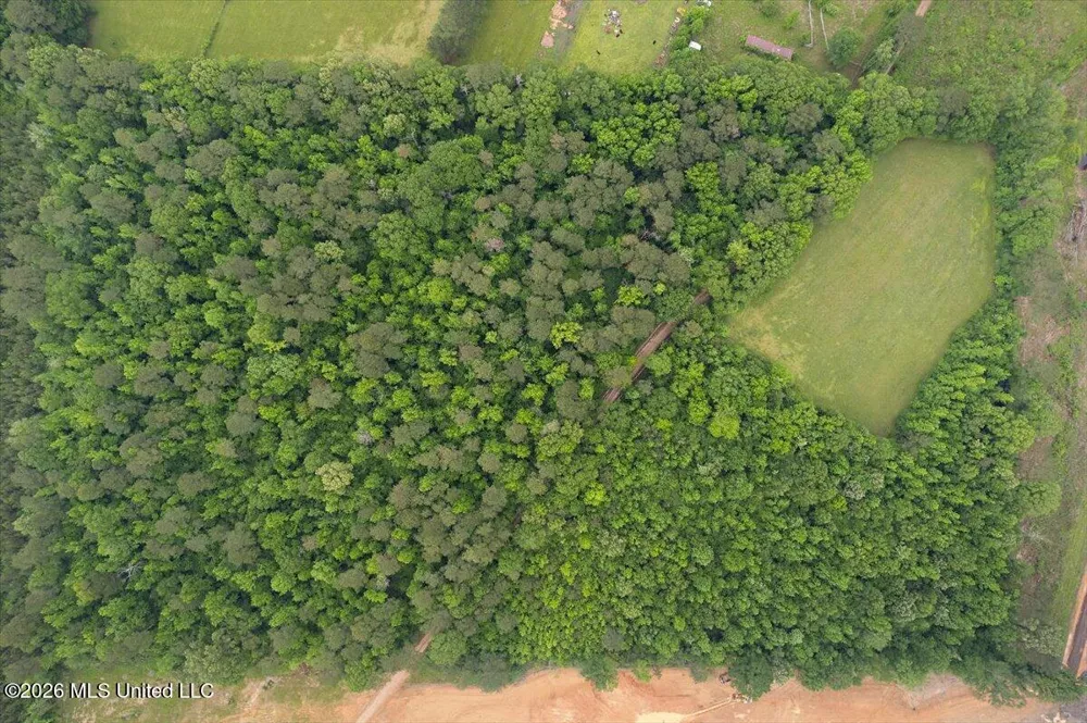 Calhoun Lane Forest, MS 39074
