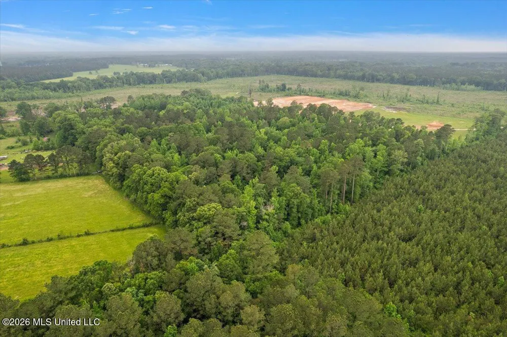 Calhoun Lane Forest, MS 39074