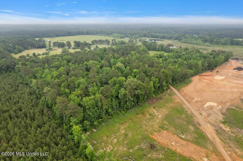 Calhoun Lane Forest, MS 39074