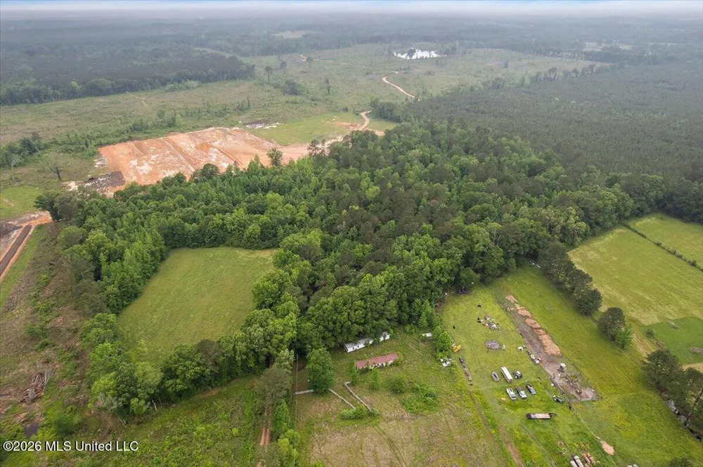 Calhoun Lane Forest, MS 39074