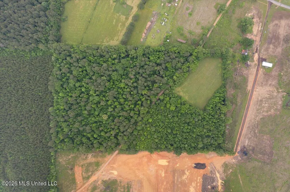 Calhoun Lane Forest, MS 39074