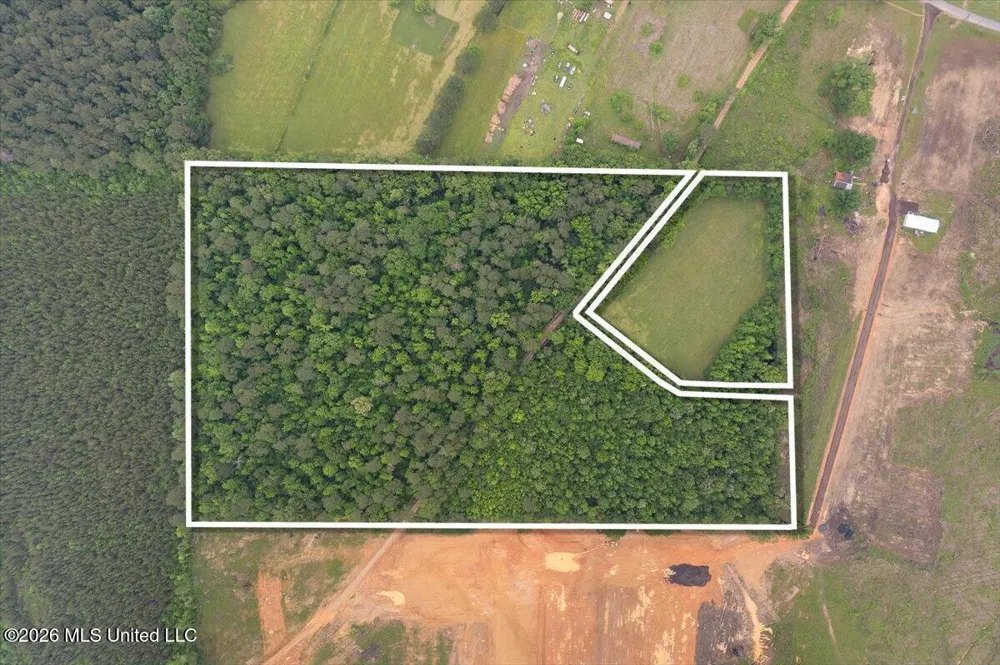 Calhoun Lane Forest, MS 39074
