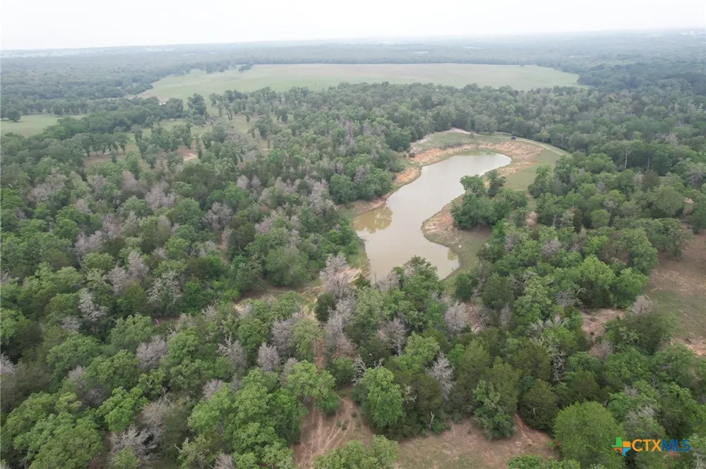 8550 CR 455 Lexington, TX 76577