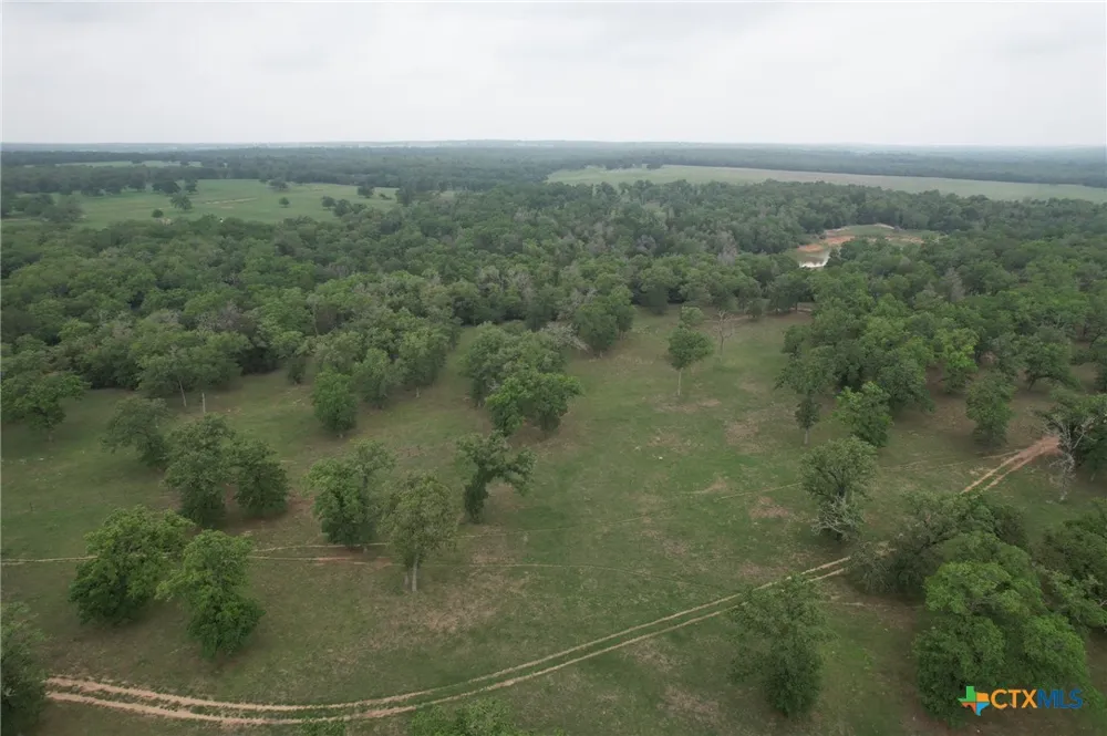 8550 CR 455 Lexington, TX 76577