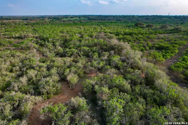 0 Cr 207 Tuleta, TX 78146