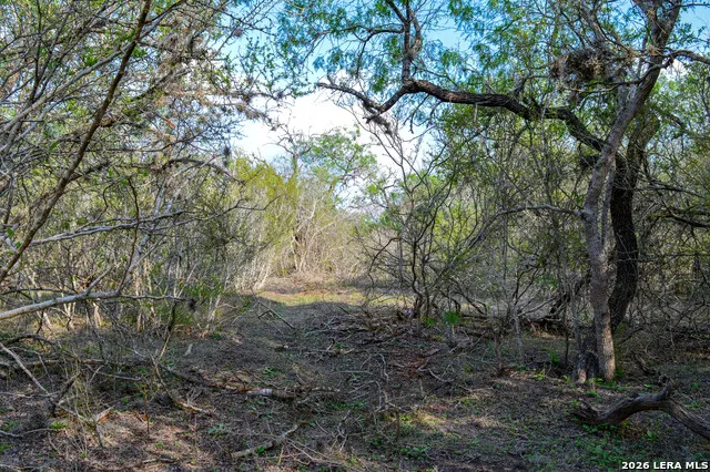 0 Cr 207 Tuleta, TX 78146