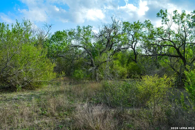 0 Cr 207 Tuleta, TX 78146