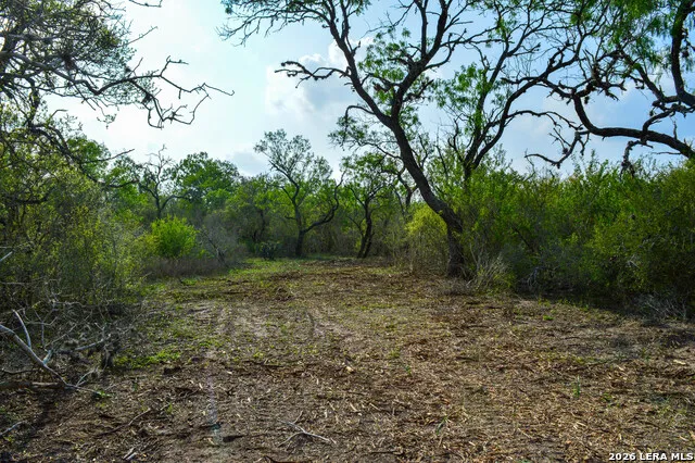 0 Cr 207 Tuleta, TX 78146