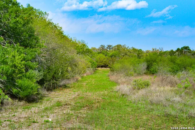 0 Cr 207 Tuleta, TX 78146