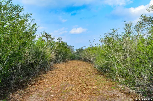 0 Cr 207 Tuleta, TX 78146