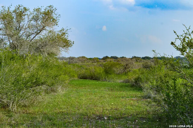 0 Cr 207 Tuleta, TX 78146