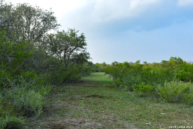 0 Cr 207 Tuleta, TX 78146