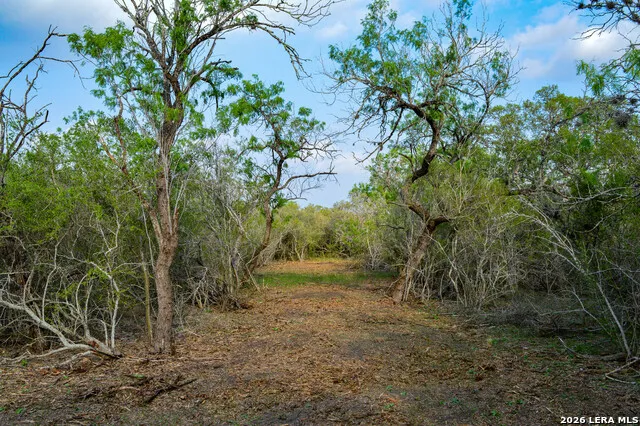 0 Cr 207 Tuleta, TX 78146