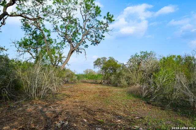0 Cr 207 Tuleta, TX 78146