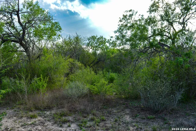 0 Cr 207 Tuleta, TX 78146