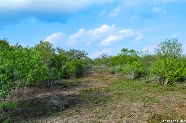 0 Cr 207 Tuleta, TX 78146