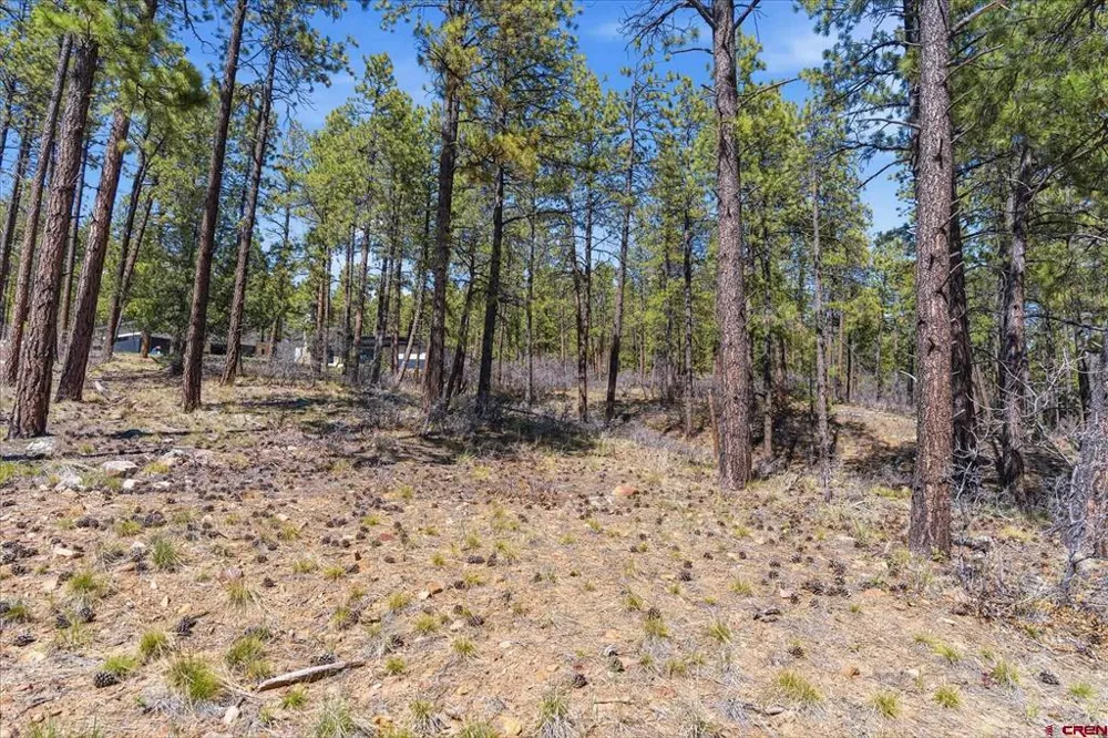 1096 Red Canyon Trail Durango, CO 81301