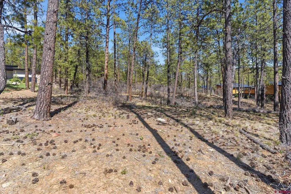 1096 Red Canyon Trail Durango, CO 81301