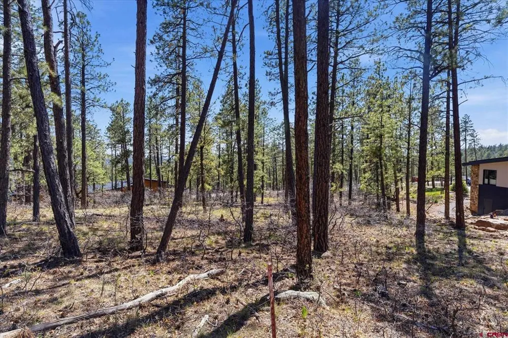 1096 Red Canyon Trail Durango, CO 81301