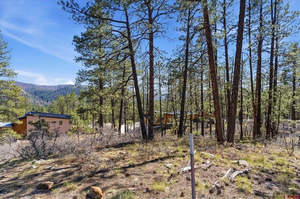 1096 Red Canyon Trail Durango, CO 81301