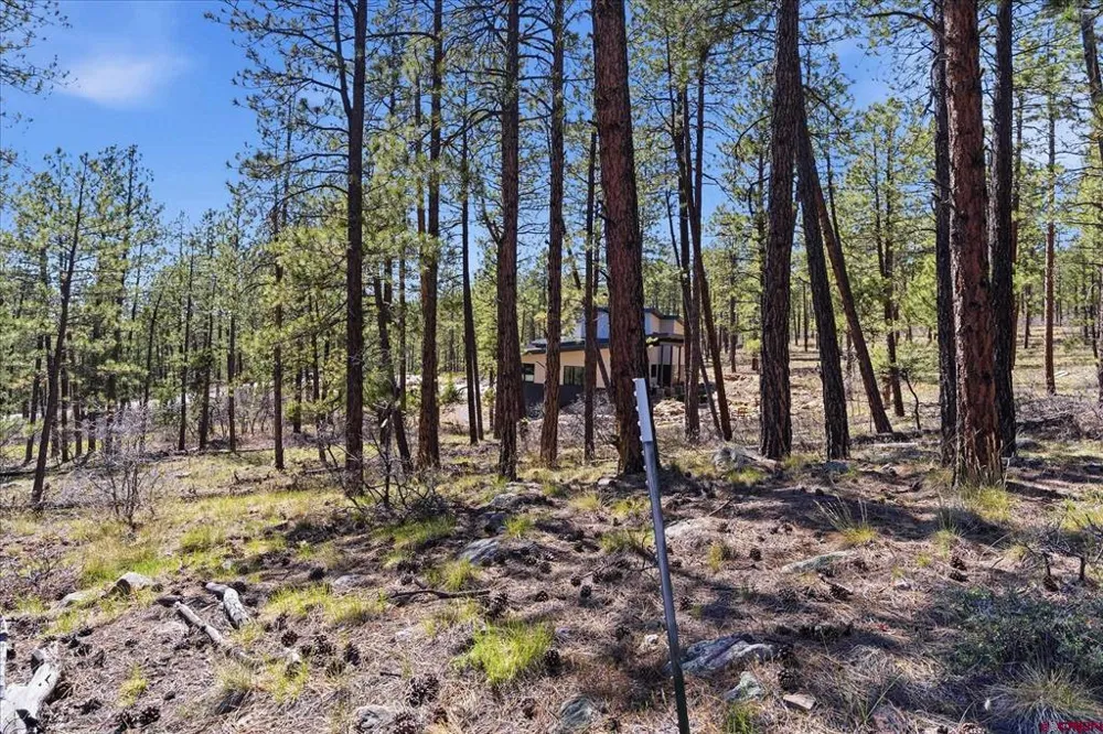 1096 Red Canyon Trail Durango, CO 81301
