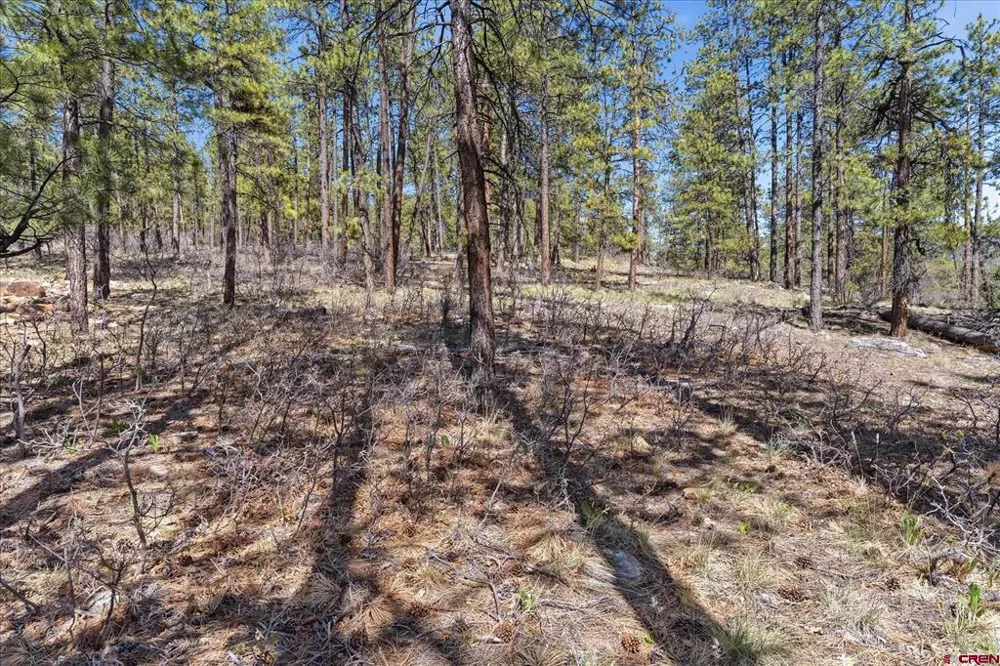 1096 Red Canyon Trail Durango, CO 81301