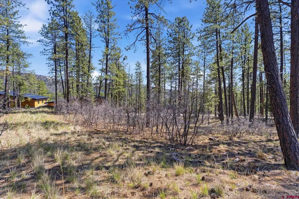1096 Red Canyon Trail Durango, CO 81301